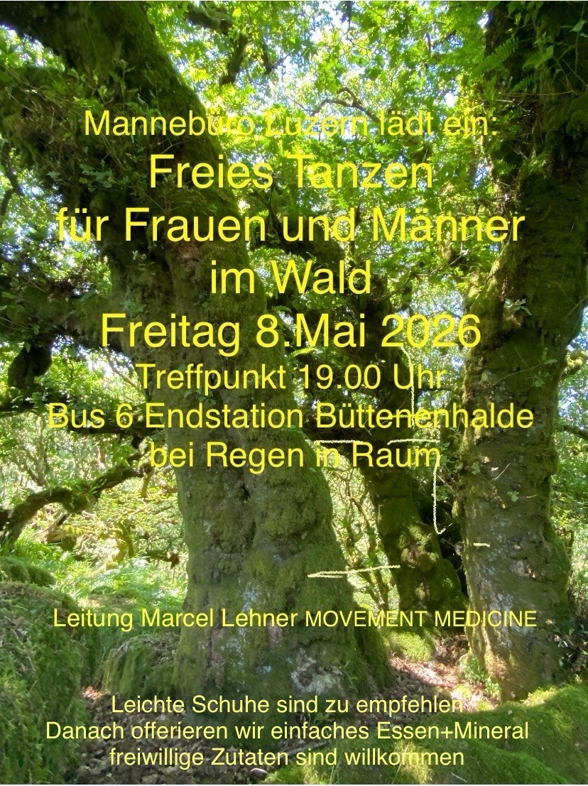 Flyer Tanzfest 2026